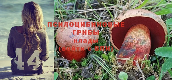 бутират Гусь-Хрустальный