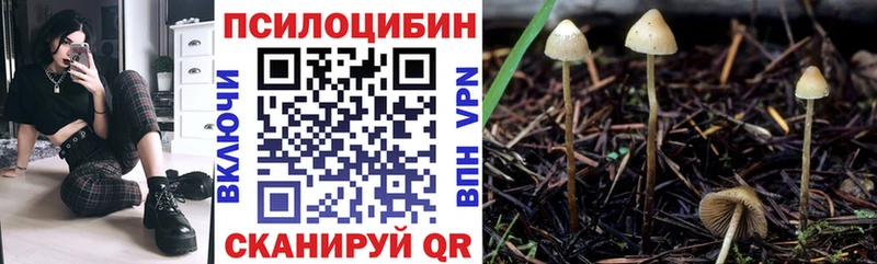 Псилоцибиновые грибы Psilocybe  кракен tor  Новоржев  купить  сайты 
